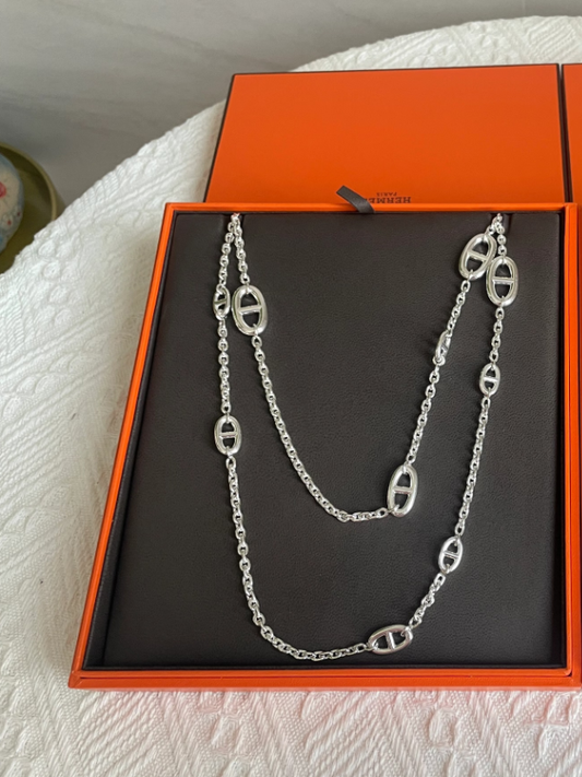 [⭐Spark]Classic Silver Sweater Chain