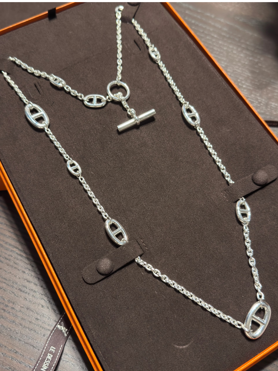 [⭐Spark]Classic Silver Sweater Chain