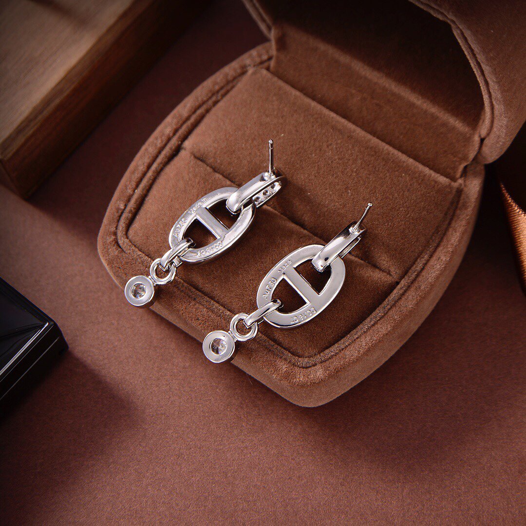 [⭐Spark]HM CHAINE DIAMOND EARRINGS